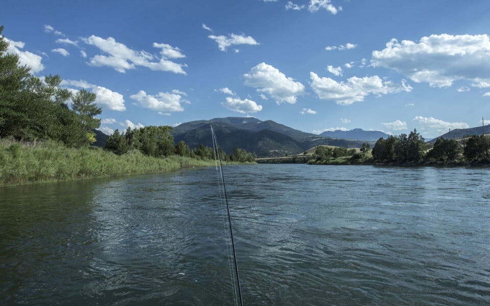 fly fish the infamous yellowstone river