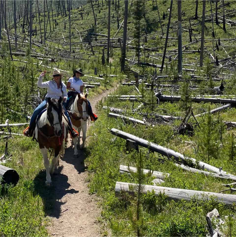 summer horseback trail rides